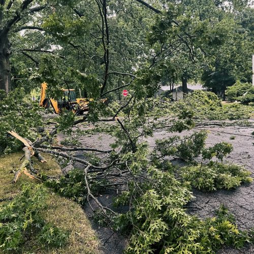 Public works crews cleaning up following extreme weather and tornado damage. Large trees have fallen and are blocking a residential street. A yellow backhoe has arrived to assist in recovery and cleanup efforts. Located in Central Illinois, USA.